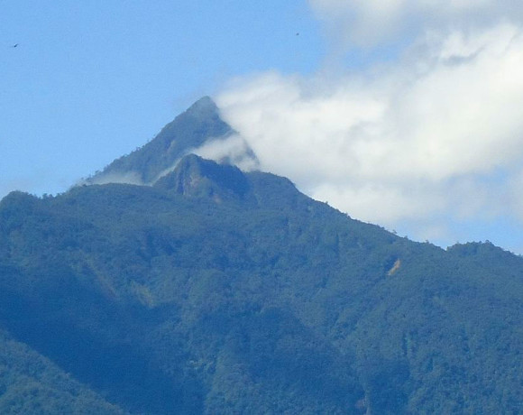 Pico Bonito